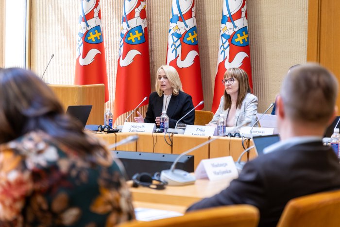 LVAT pirmininkė Seime: teisė kreiptis į institucijas negali virsti priemone trikdyti jų darbą